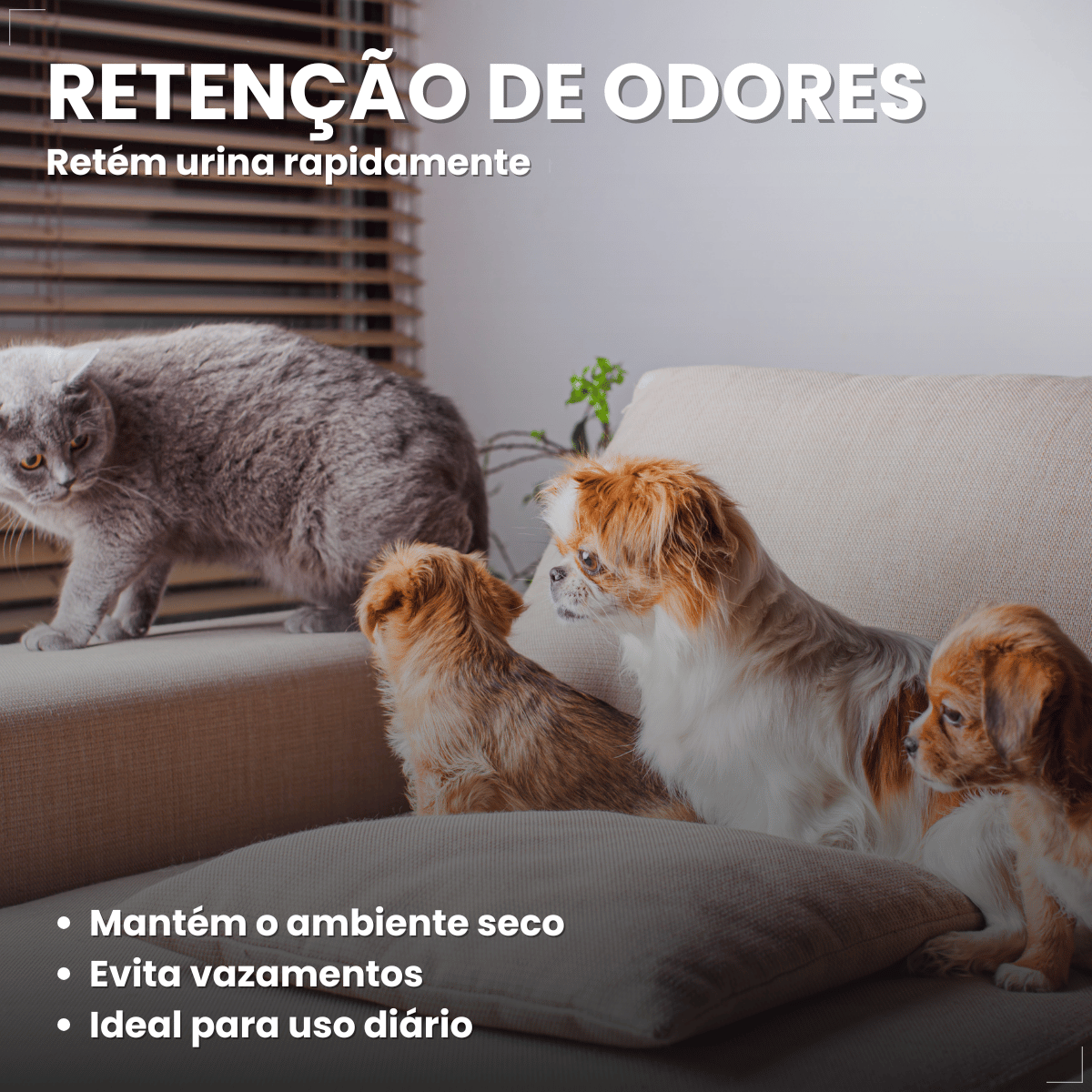 Jornal Pet Higiênico Biodegradável com 50 Folhas All Papers
