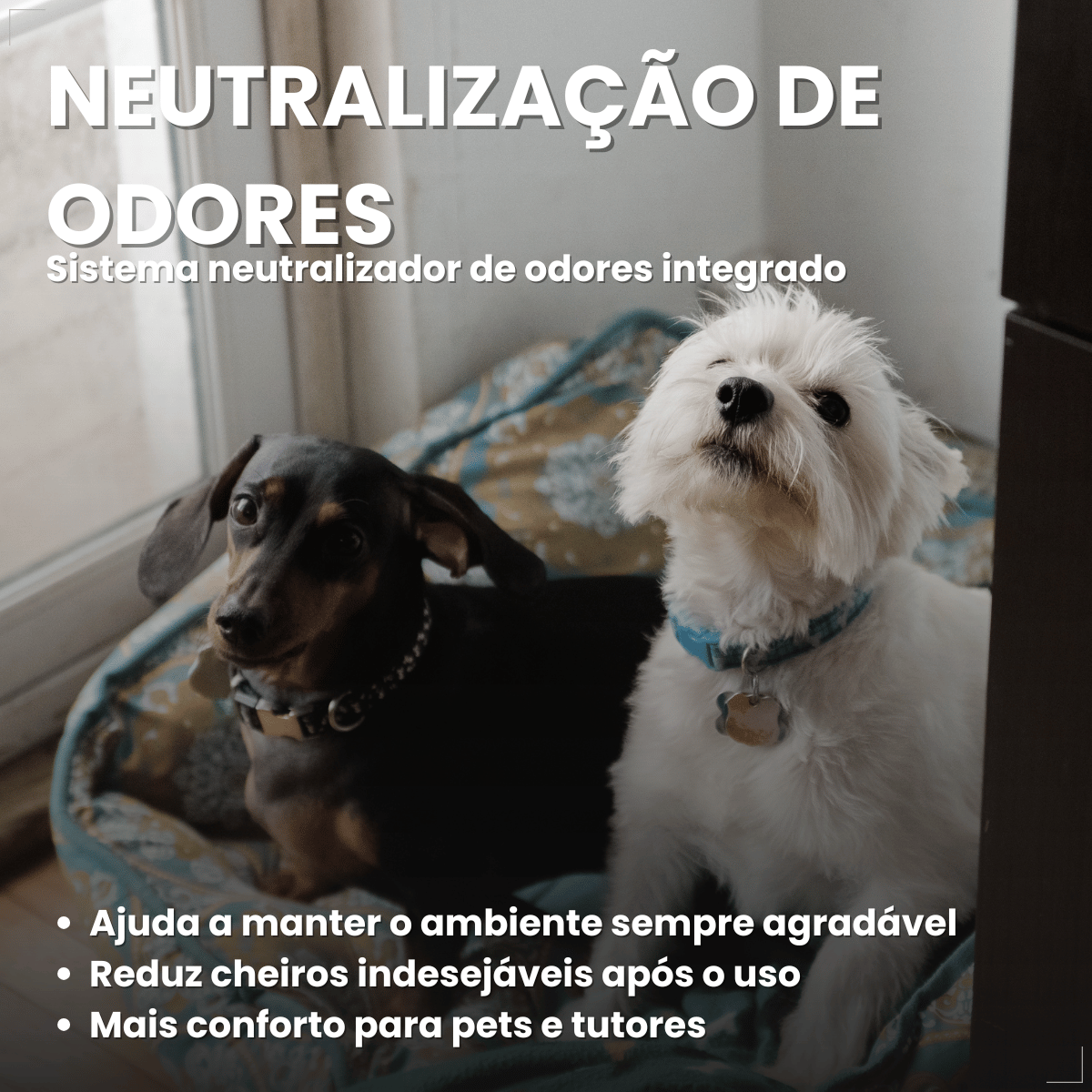 Tapete Mr. Dry Higiênico Para Caes 80x60cm com 30 Unidades