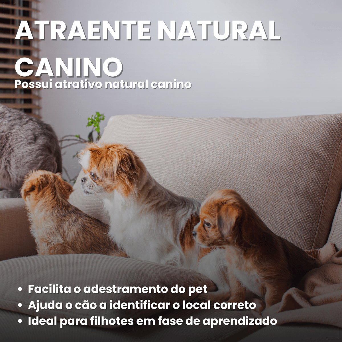 Tapete Mr. Dry Higiênico Para Caes 80x60cm com 30 Unidades