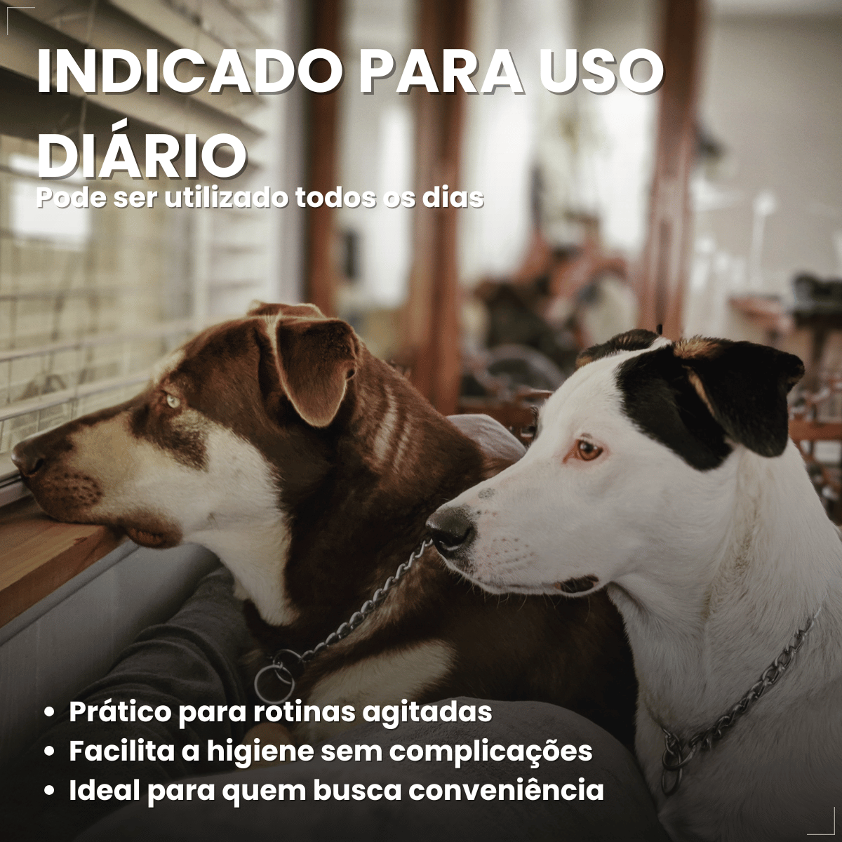 Tapete Mr. Dry Higiênico Para Caes 80x60cm com 30 Unidades