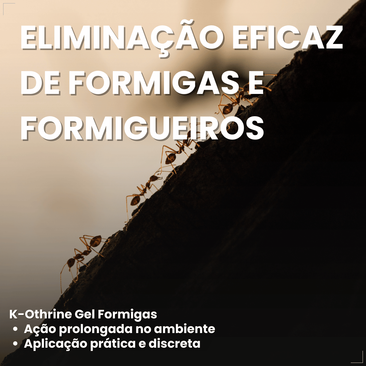 Inseticida K-Othrine® Gel Formigas 10g