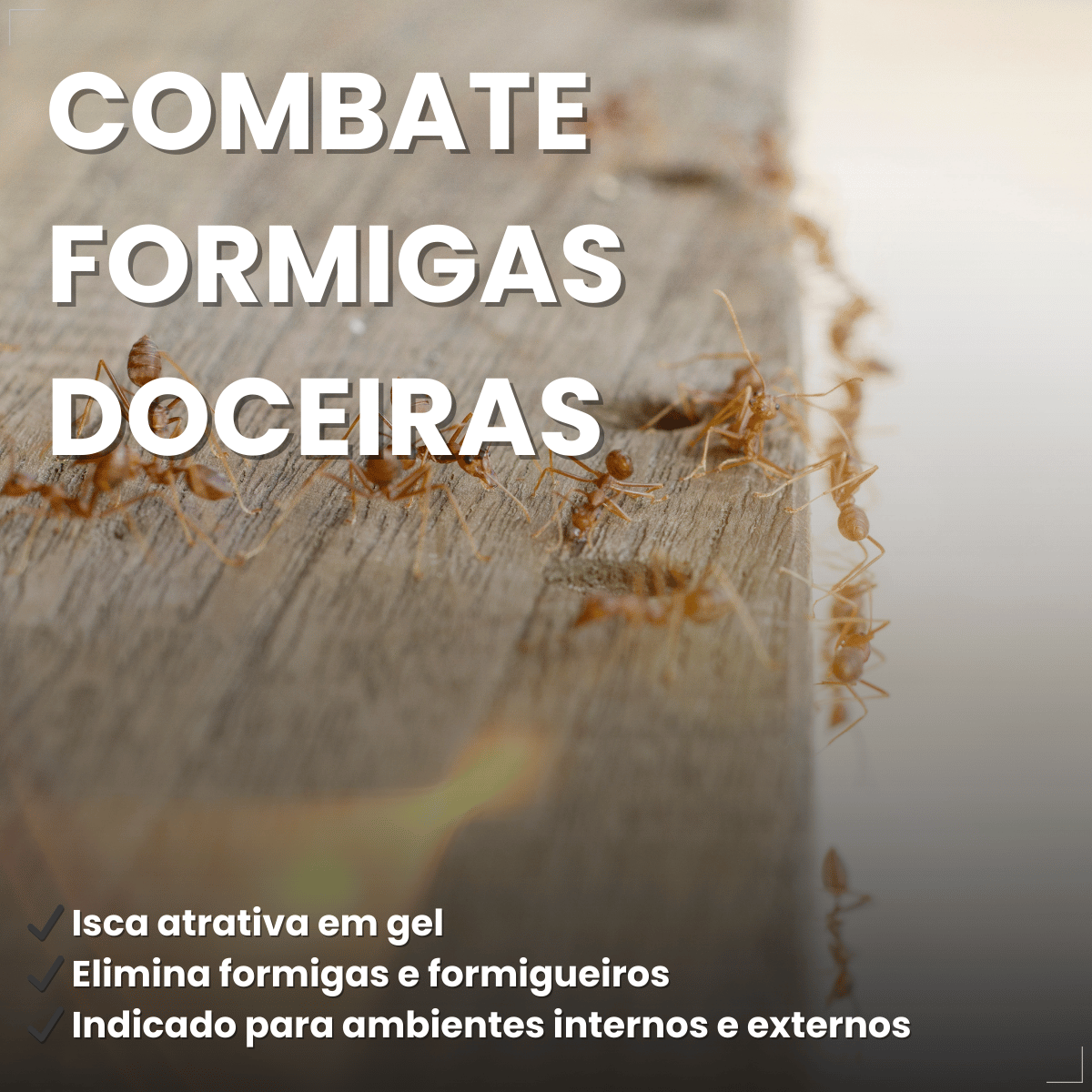 Inseticida K-Othrine® Gel Formigas 10g