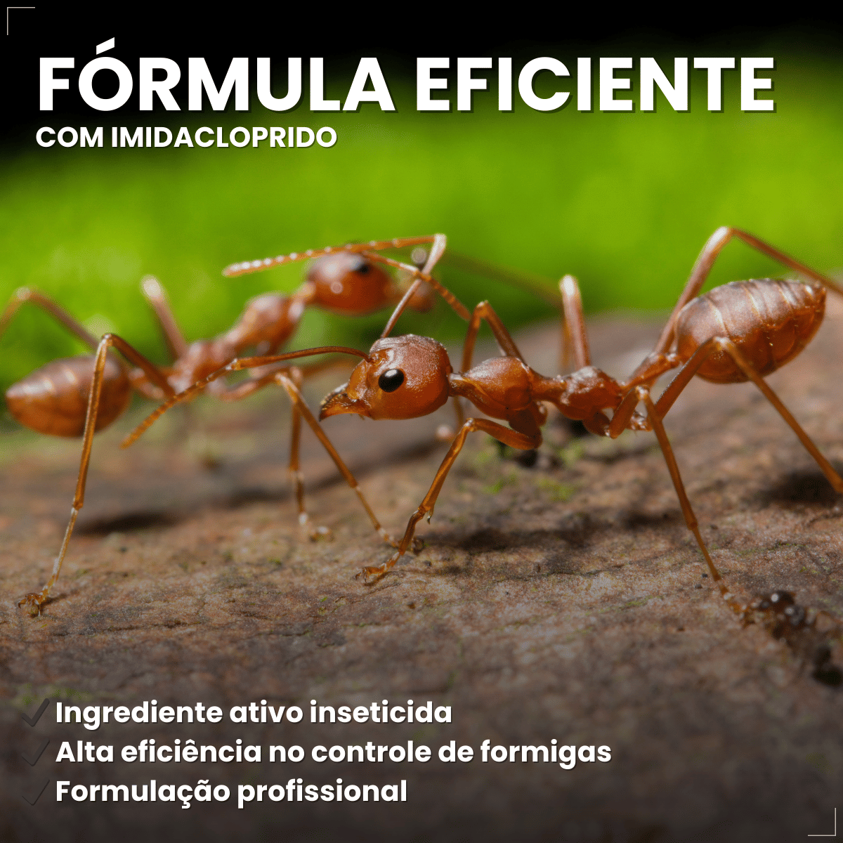 Inseticida K-Othrine® Gel Formigas 10g