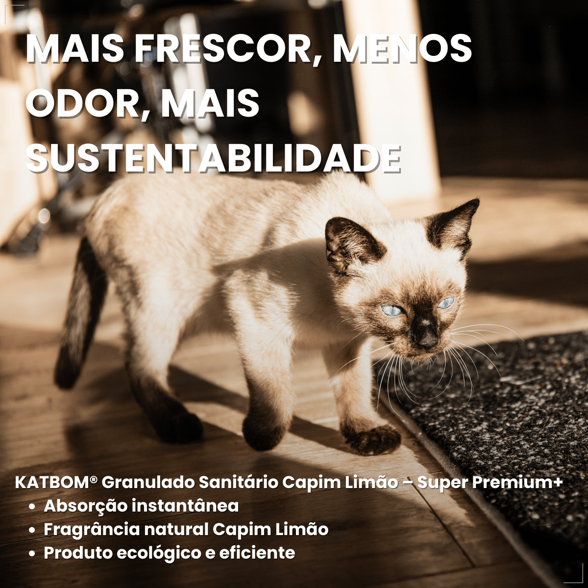 Katbom Areia Higiênica Para Gatos Granulado Capim-limão 3kg
