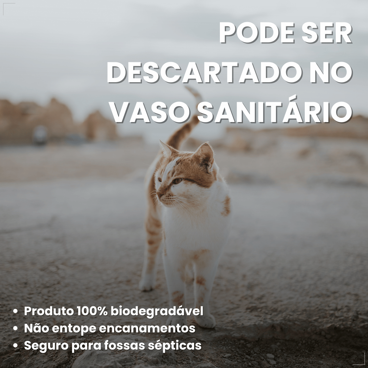 Katbom Areia Higiênica Para Gatos Granulado Capim-limão 3kg