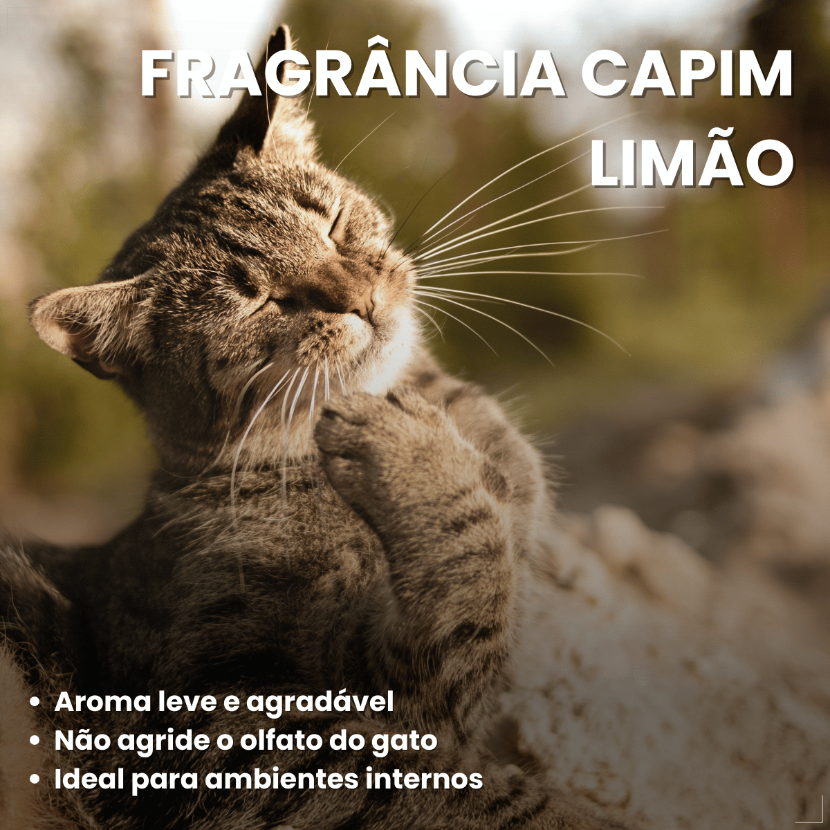 Katbom Areia Higiênica Para Gatos Granulado Capim-limão 3kg