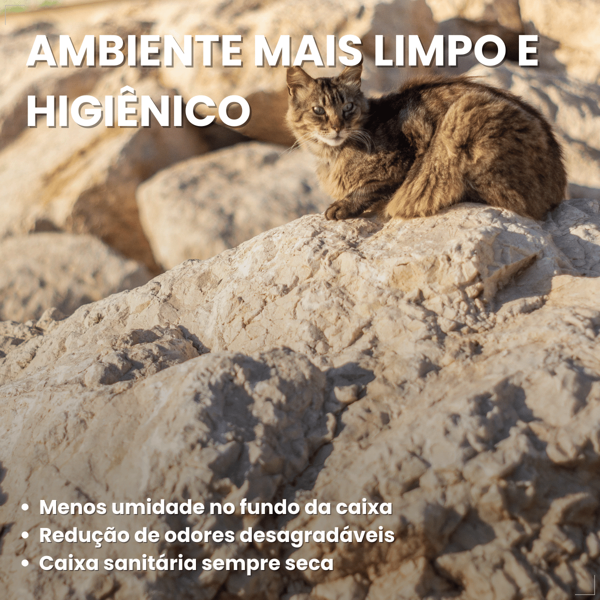 Katbom Areia Higiênica Para Gatos Granulado Capim-limão 3kg