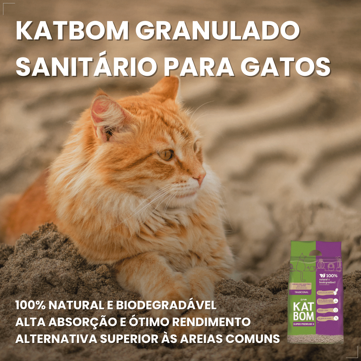 Katbom Areia Higiênica Granulado Biodegradavel P gatos 3 Kg