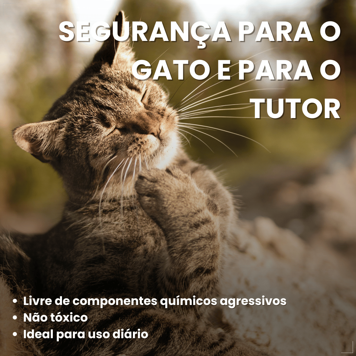 Katbom Areia Higiênica Granulado Biodegradavel P gatos 3 Kg