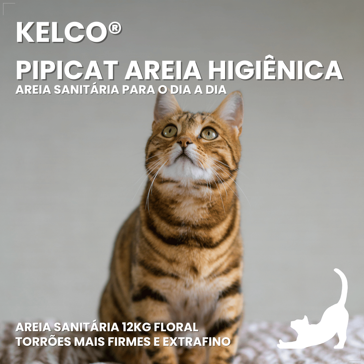 Pipicat Areia Higiênica para Gatos Floral 4kg Grão Extrafino
