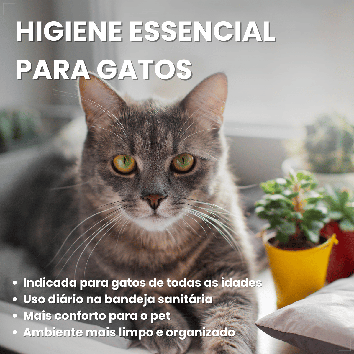 Pipicat Areia Higiênica para Gatos Floral 4kg Grão Extrafino