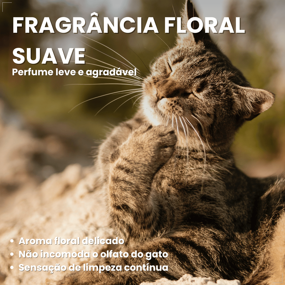 Pipicat Areia Higiênica para Gatos Floral 4kg Grão Extrafino