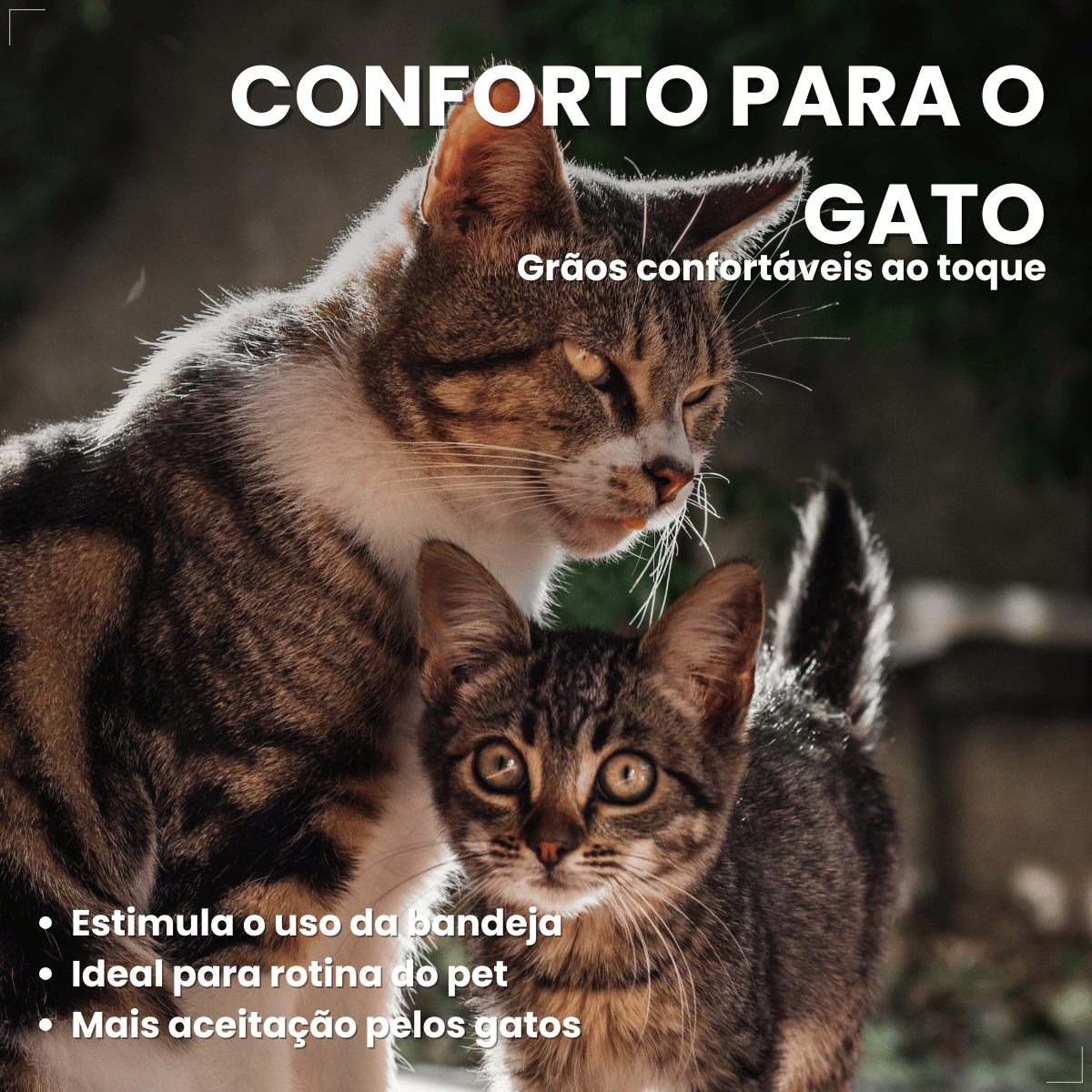 Pipicat Areia Higiênica para Gatos Floral 4kg Grão Extrafino