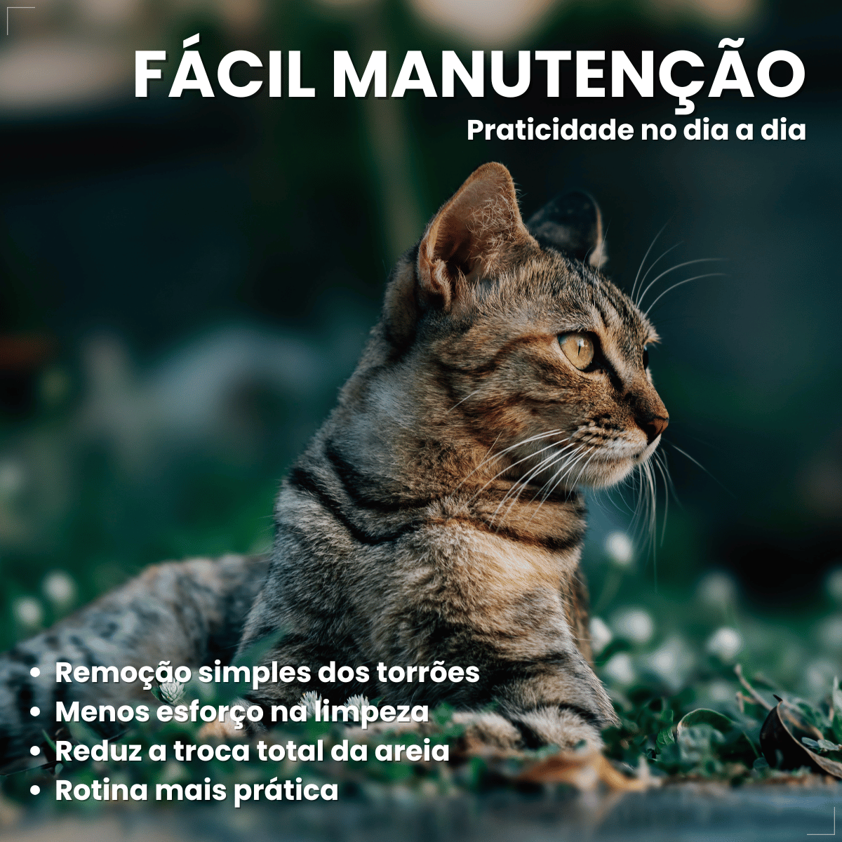 Pipicat Areia Higiênica para Gatos Floral 4kg Grão Extrafino