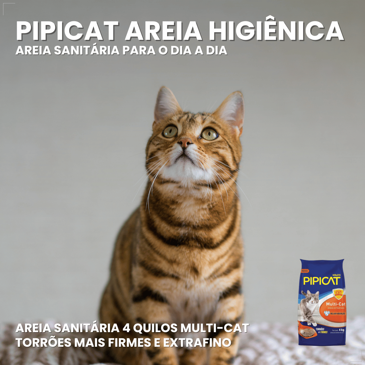 Pipicat Areia Higiênica para Gatos Muti Cat 4kg Se Odor Gãos extrafino