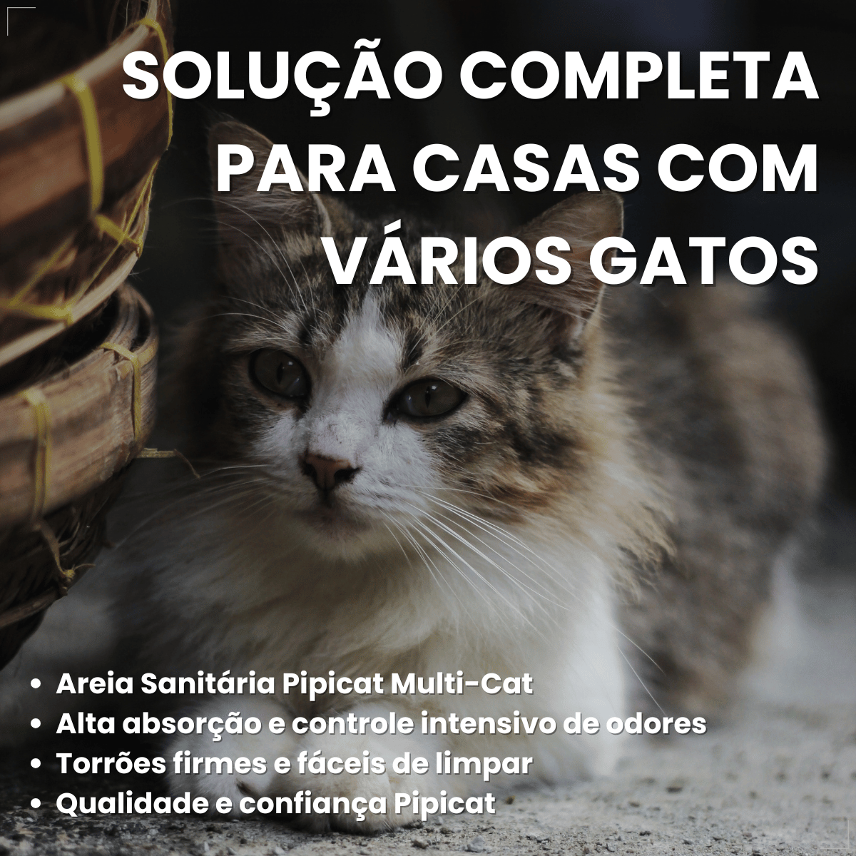 Areia Sanitária Kelco Pipicat Multi-Cat 12kg