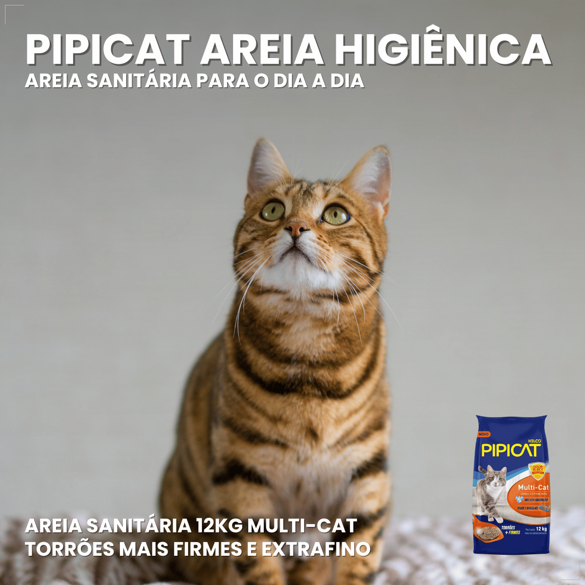 Areia Sanitária Kelco Pipicat Multi-Cat 12kg
