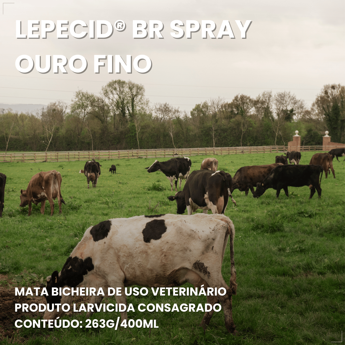 Lepecid Br Spray 263g Mata Bicheira Ouro Fino