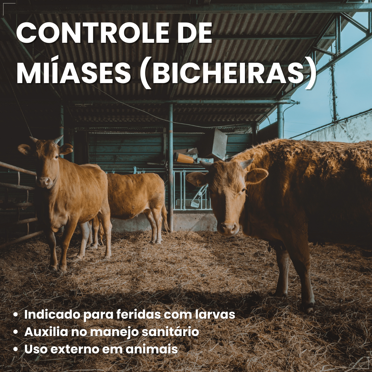 Lepecid Br Spray 263g Mata Bicheira Ouro Fino
