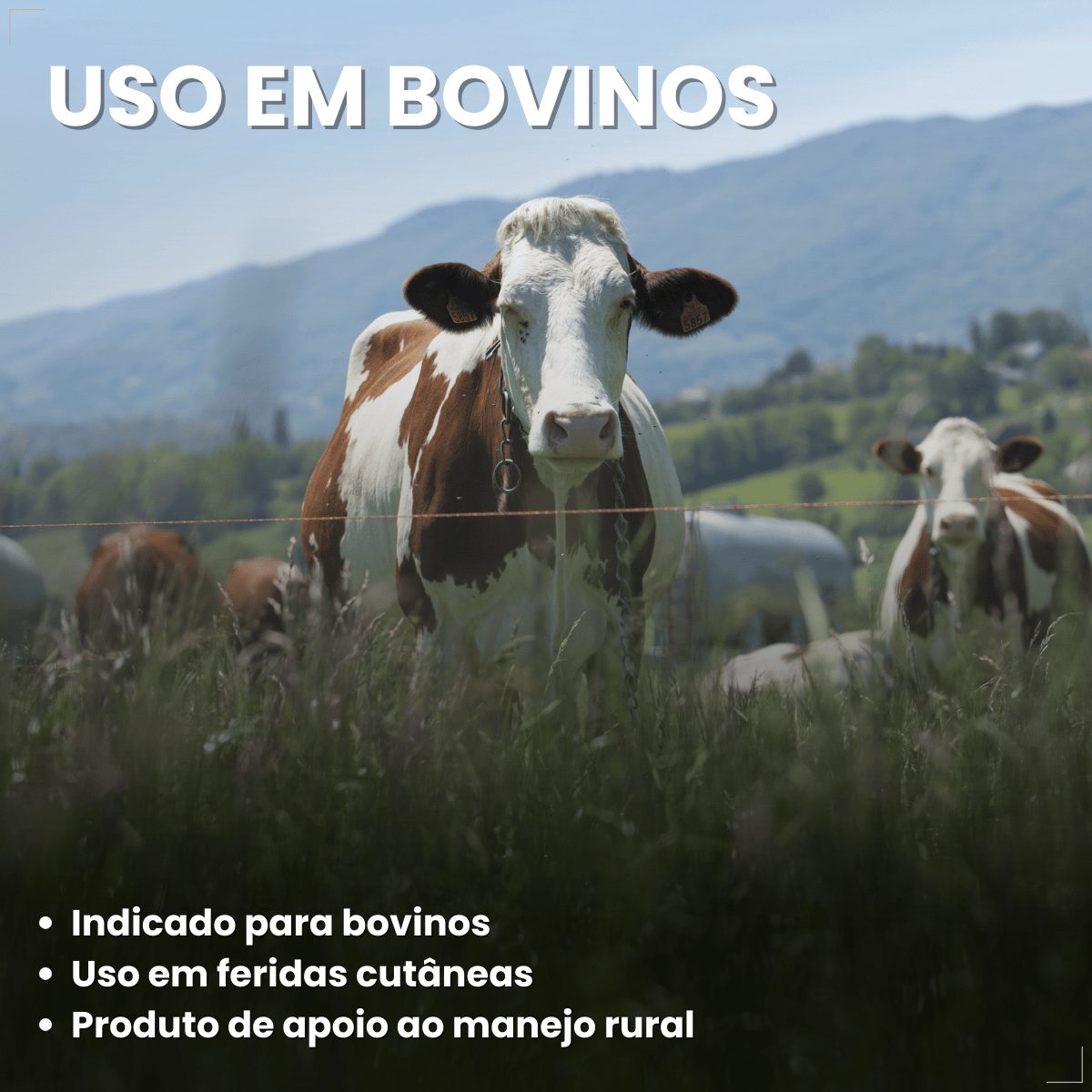 Lepecid Br Spray 263g Mata Bicheira Ouro Fino
