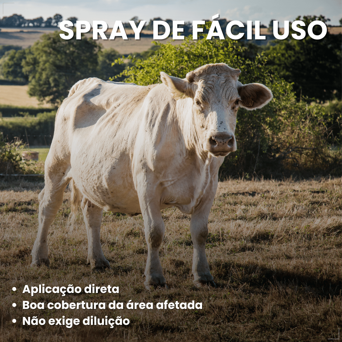 Lepecid Br Spray 263g Mata Bicheira Ouro Fino