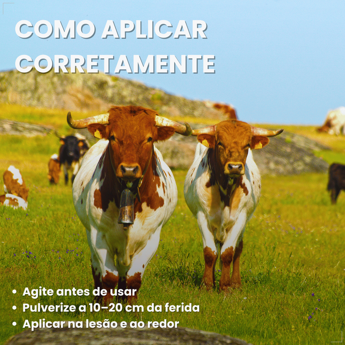 Lepecid Br Spray 263g Mata Bicheira Ouro Fino