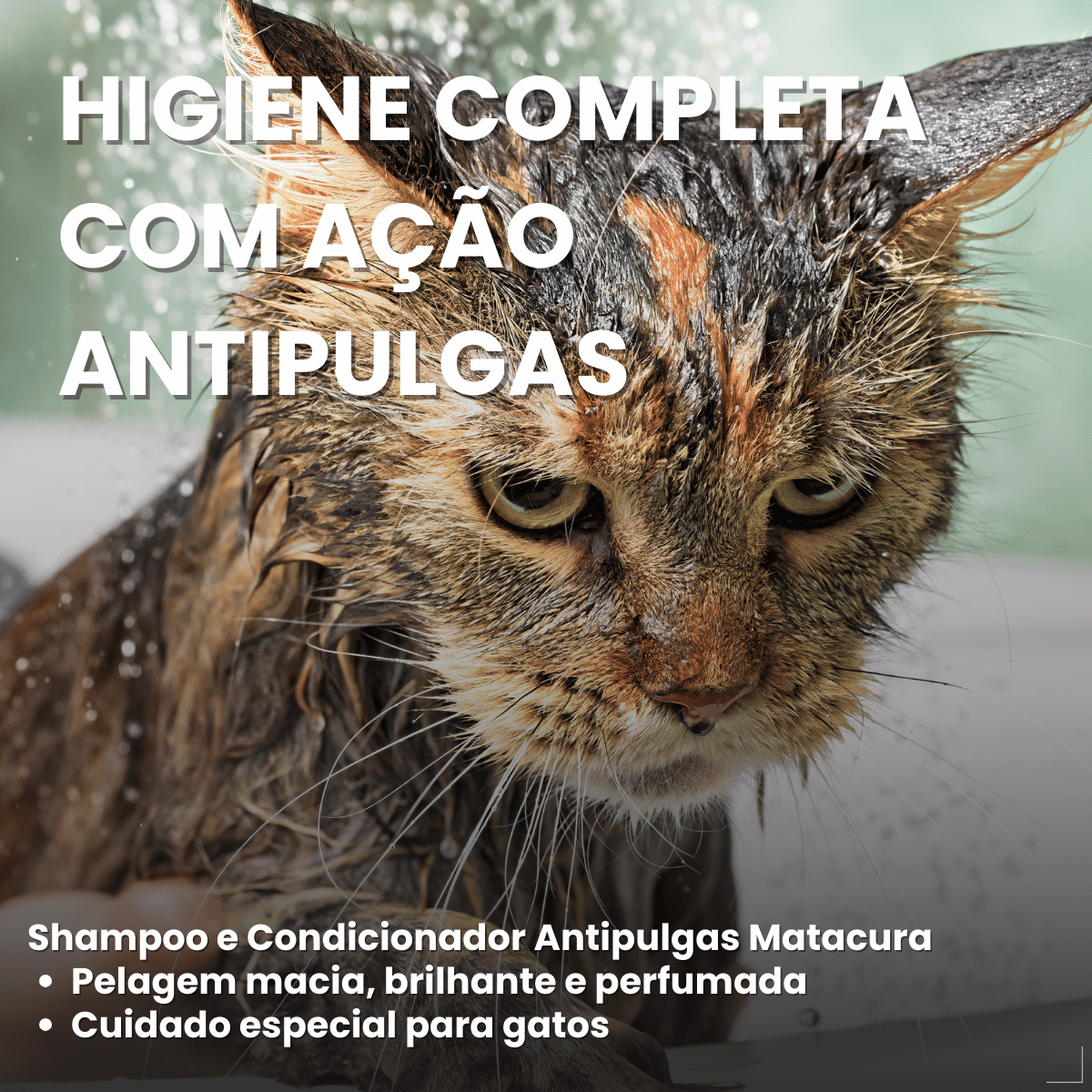 Shampoo e Condicionador Antipulgas Matacura para Gatos 200ml