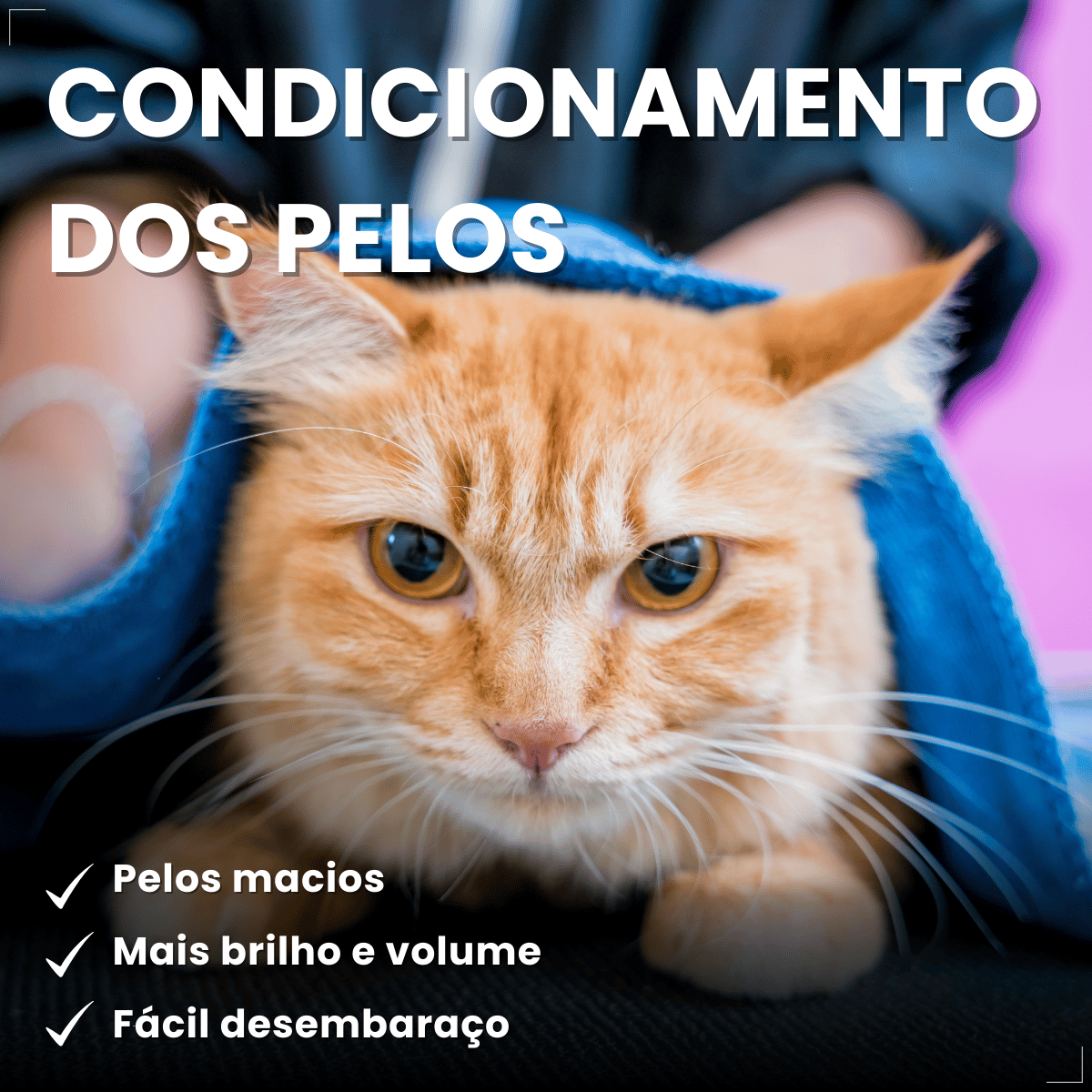 Shampoo e Condicionador Antipulgas Matacura para Gatos 200ml