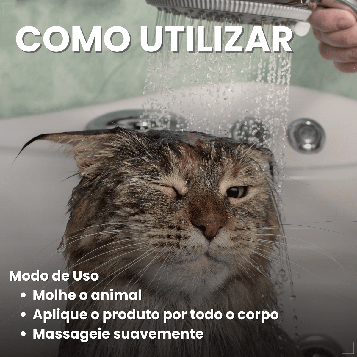 Shampoo e Condicionador Antipulgas Matacura para Gatos 200ml