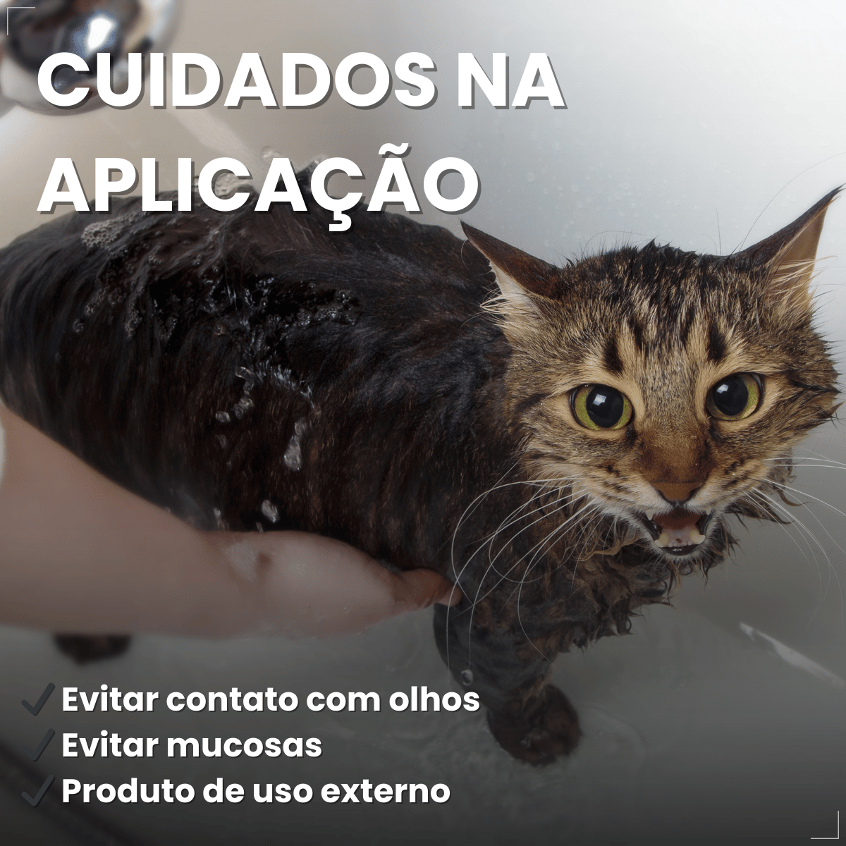 Shampoo e Condicionador Antipulgas Matacura para Gatos 200ml