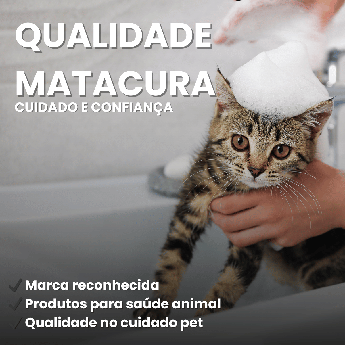 Shampoo e Condicionador Antipulgas Matacura para Gatos 200ml