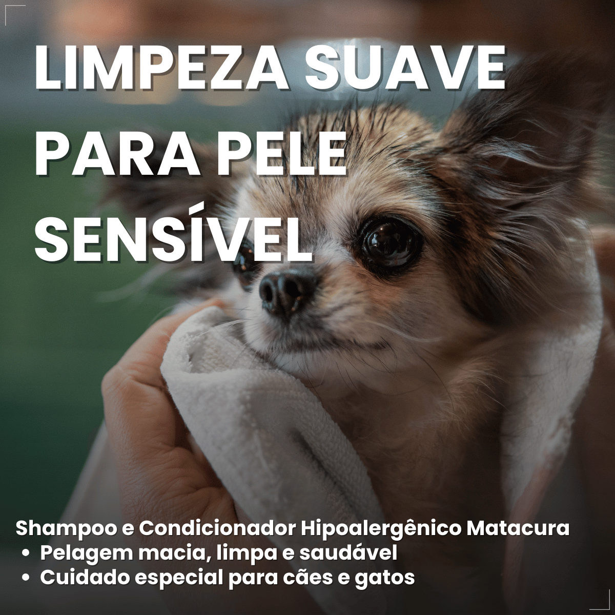 Shampoo 2 em 1 Matacura Hipoalergênico Cães e Gatos 200ml