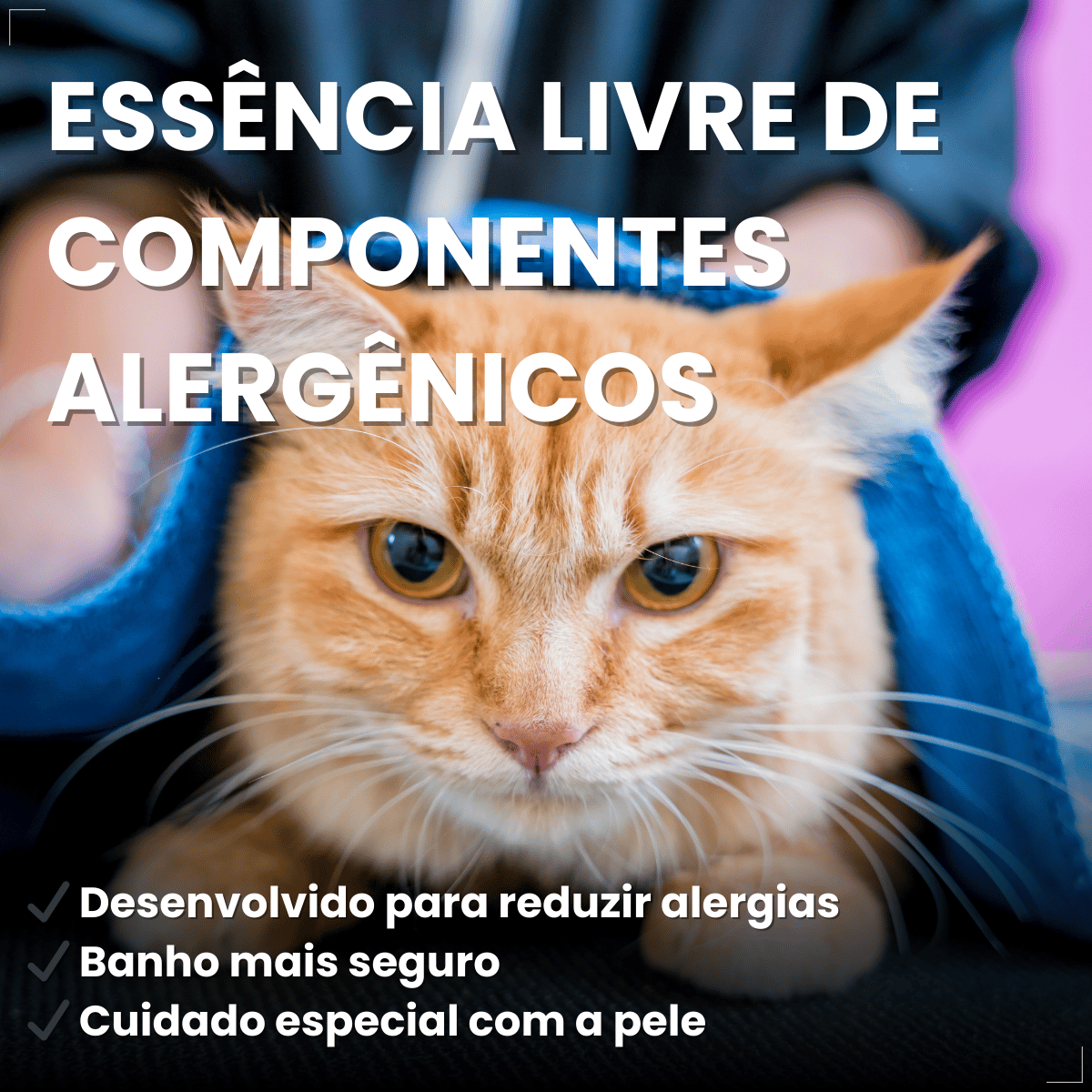 Shampoo 2 em 1 Matacura Hipoalergênico Cães e Gatos 200ml