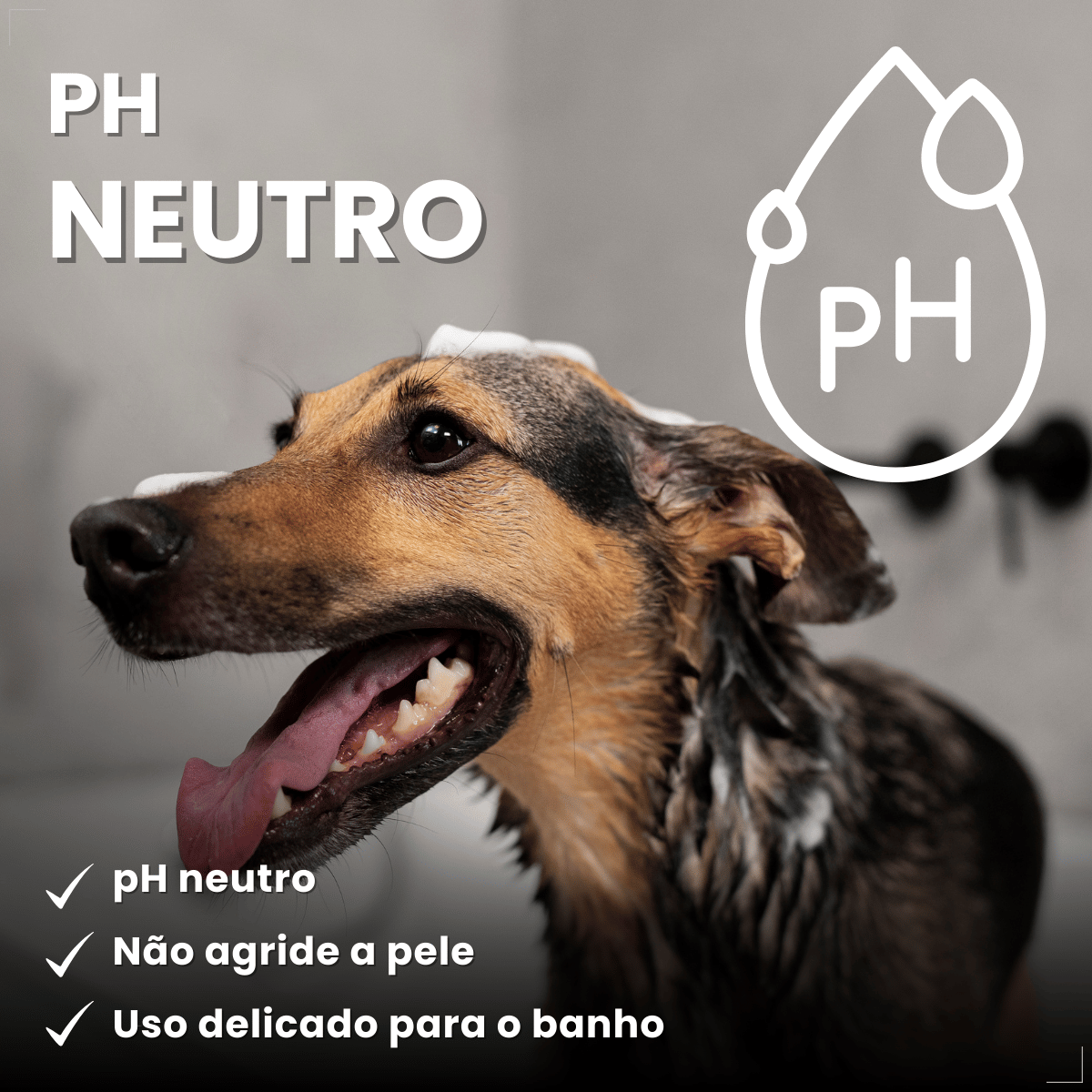Shampoo 2 em 1 Matacura Hipoalergênico Cães e Gatos 200ml