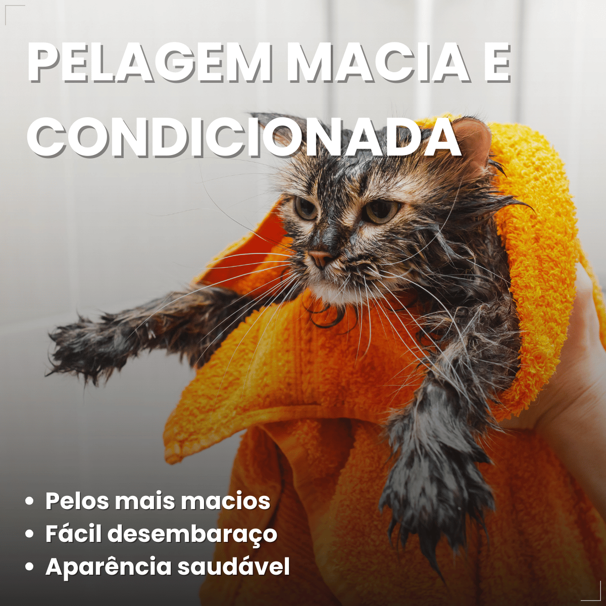 Shampoo 2 em 1 Matacura Hipoalergênico Cães e Gatos 200ml
