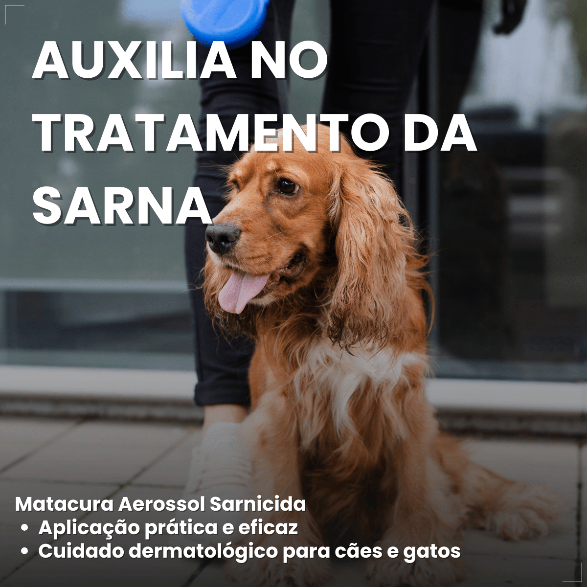 Spray Remedio Sarna Canina Sarnicida Matacura 100ml