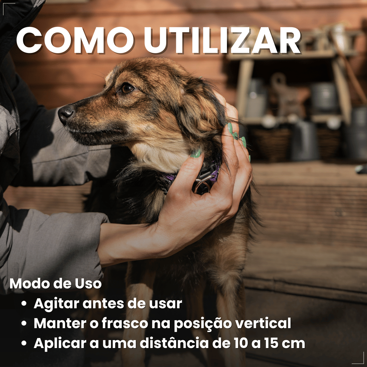 Spray Remedio Sarna Canina Sarnicida Matacura 100ml