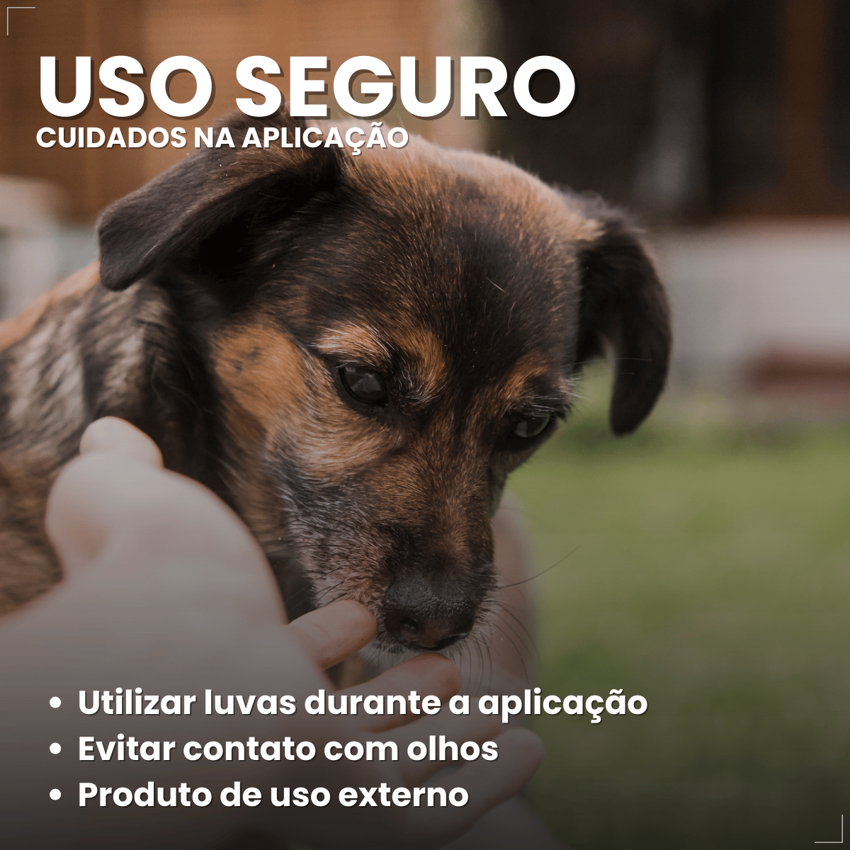 Spray Remedio Sarna Canina Sarnicida Matacura 100ml
