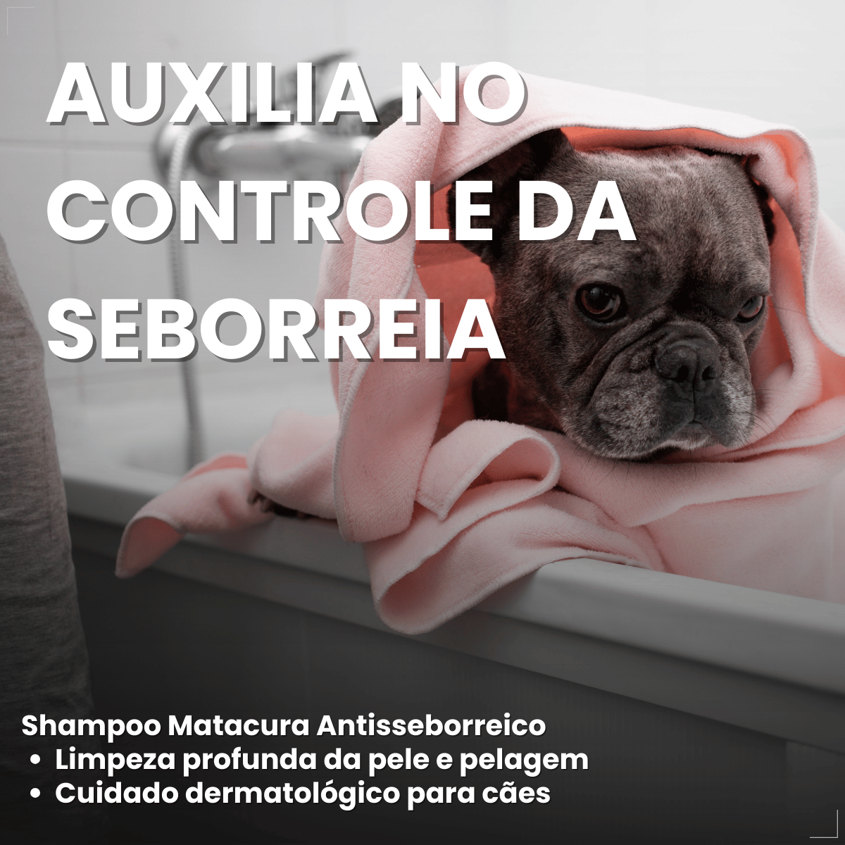 Shampoo Matacura Antisseborreico para Cães 200ml