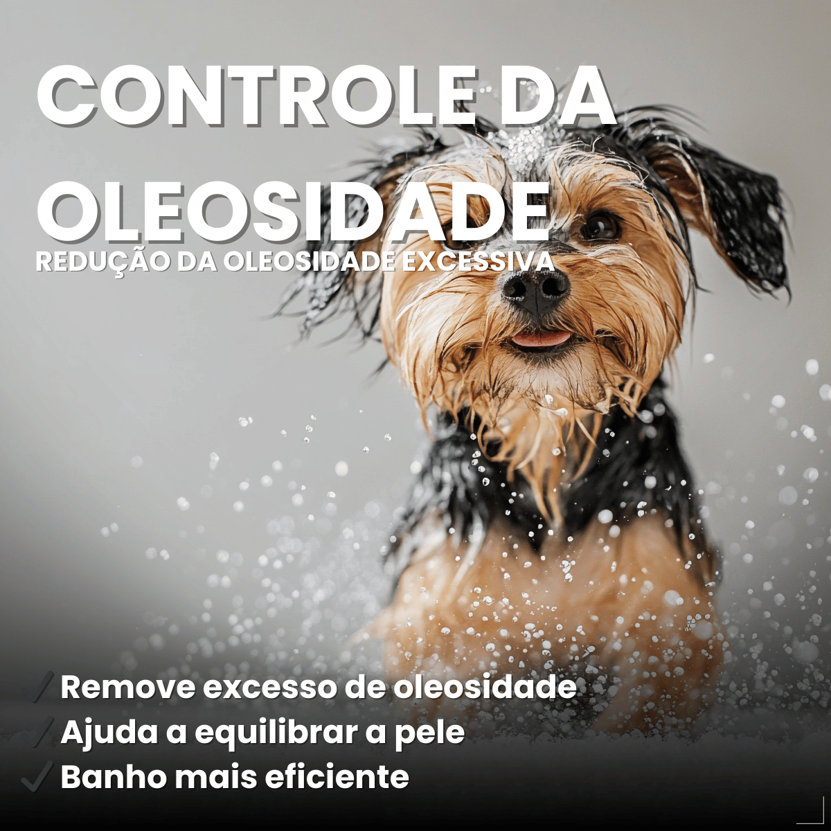 Shampoo Matacura Antisseborreico para Cães 200ml