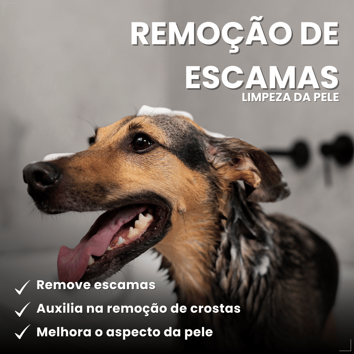 Shampoo Matacura Antisseborreico para Cães 200ml