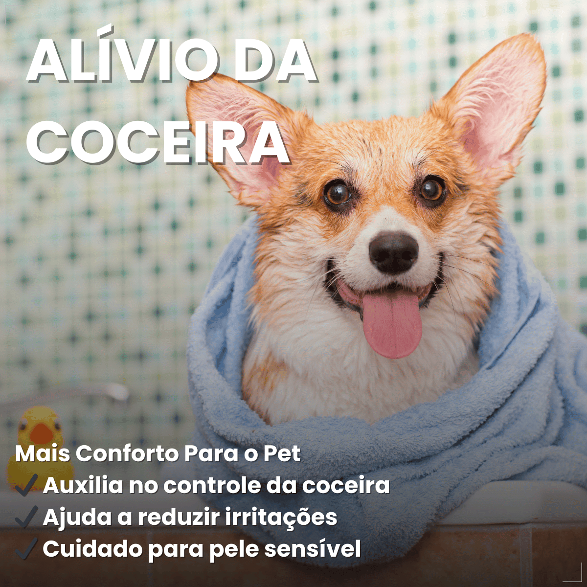 Shampoo Matacura Antisseborreico para Cães 200ml
