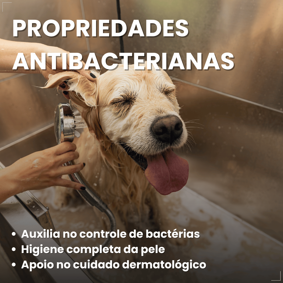 Shampoo Matacura Antisseborreico para Cães 200ml