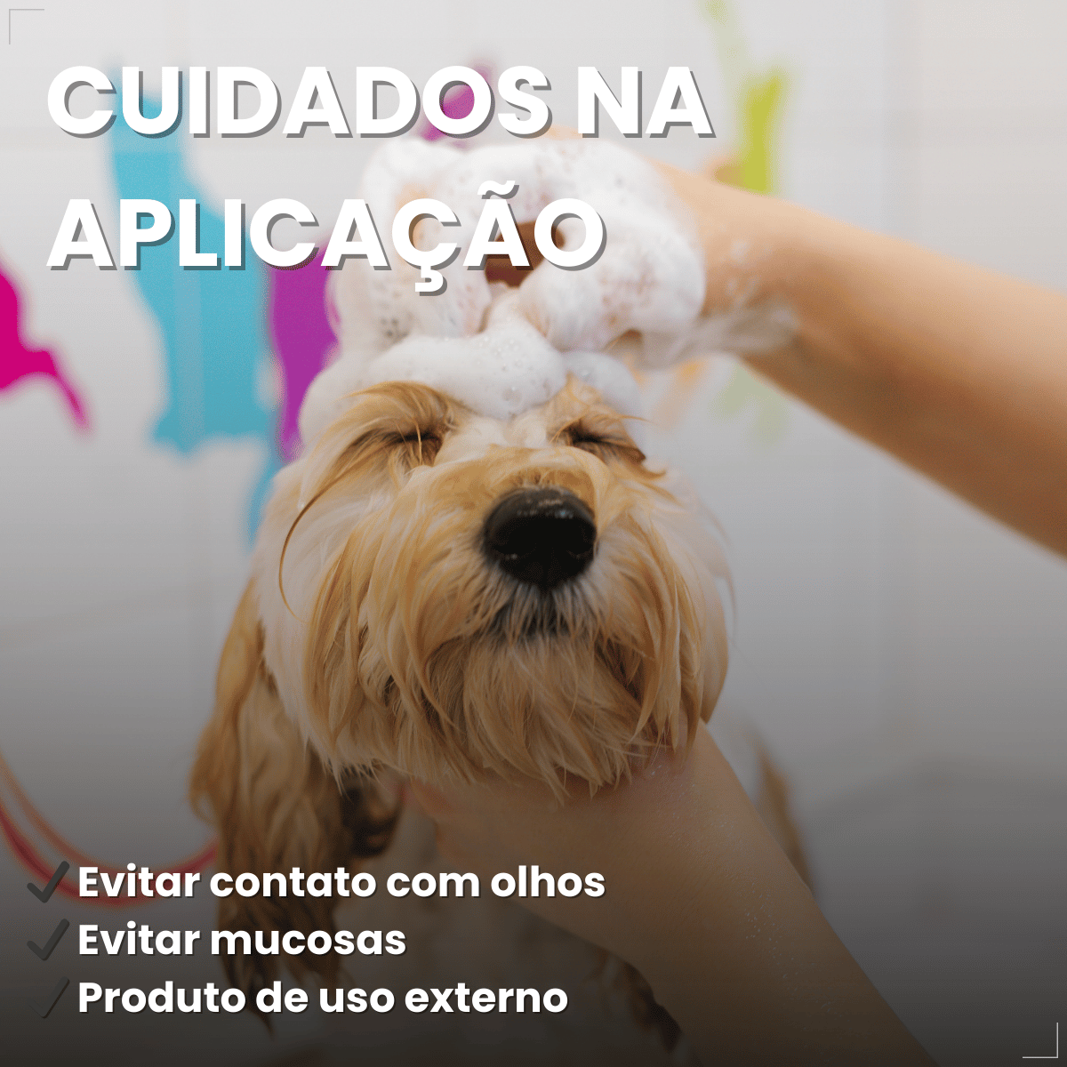 Shampoo Matacura Antisseborreico para Cães 200ml