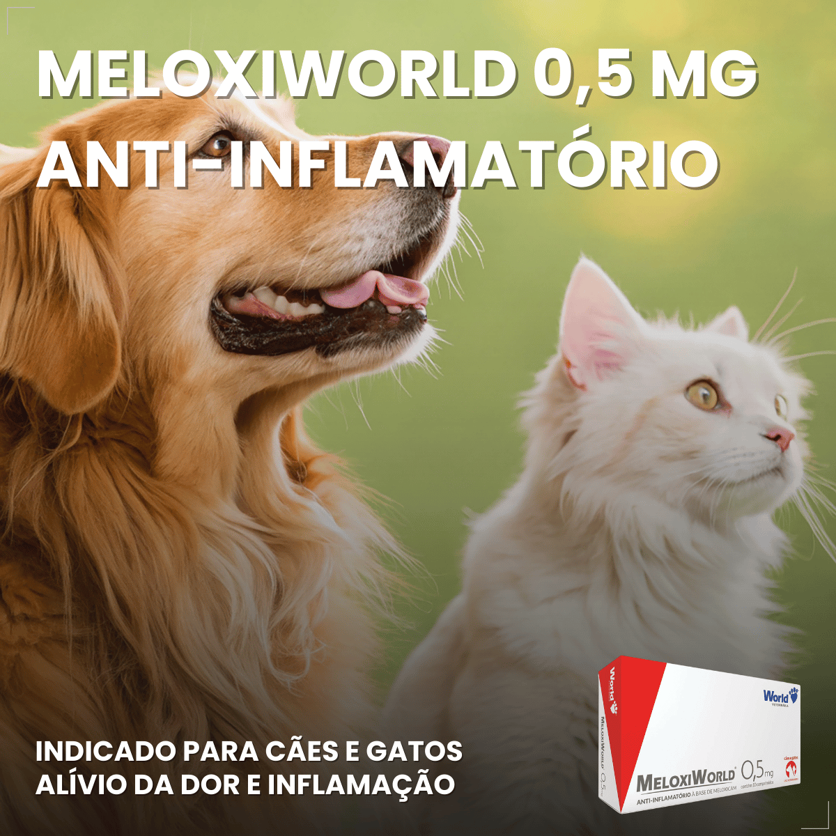 MeloxiWorld 0,5 mg para Cães e Gatos 10 Comprimidos World