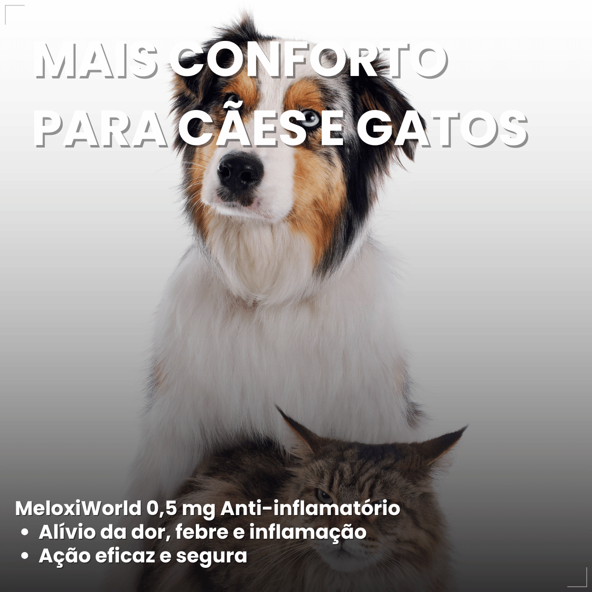 MeloxiWorld 0,5 mg para Cães e Gatos 10 Comprimidos World