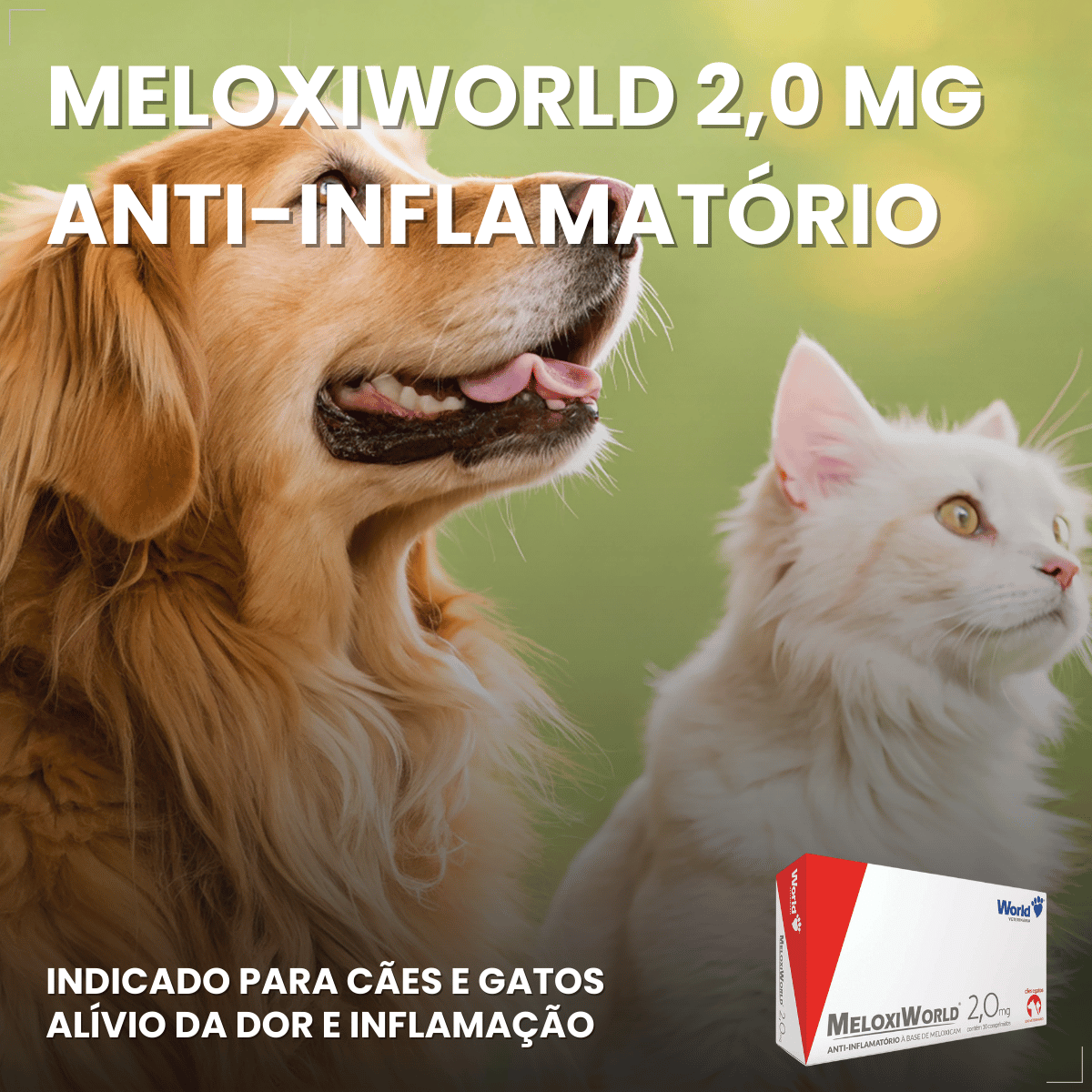 MeloxiWorld 2,0 mg para Cães e Gatos 10 Comprimidos World