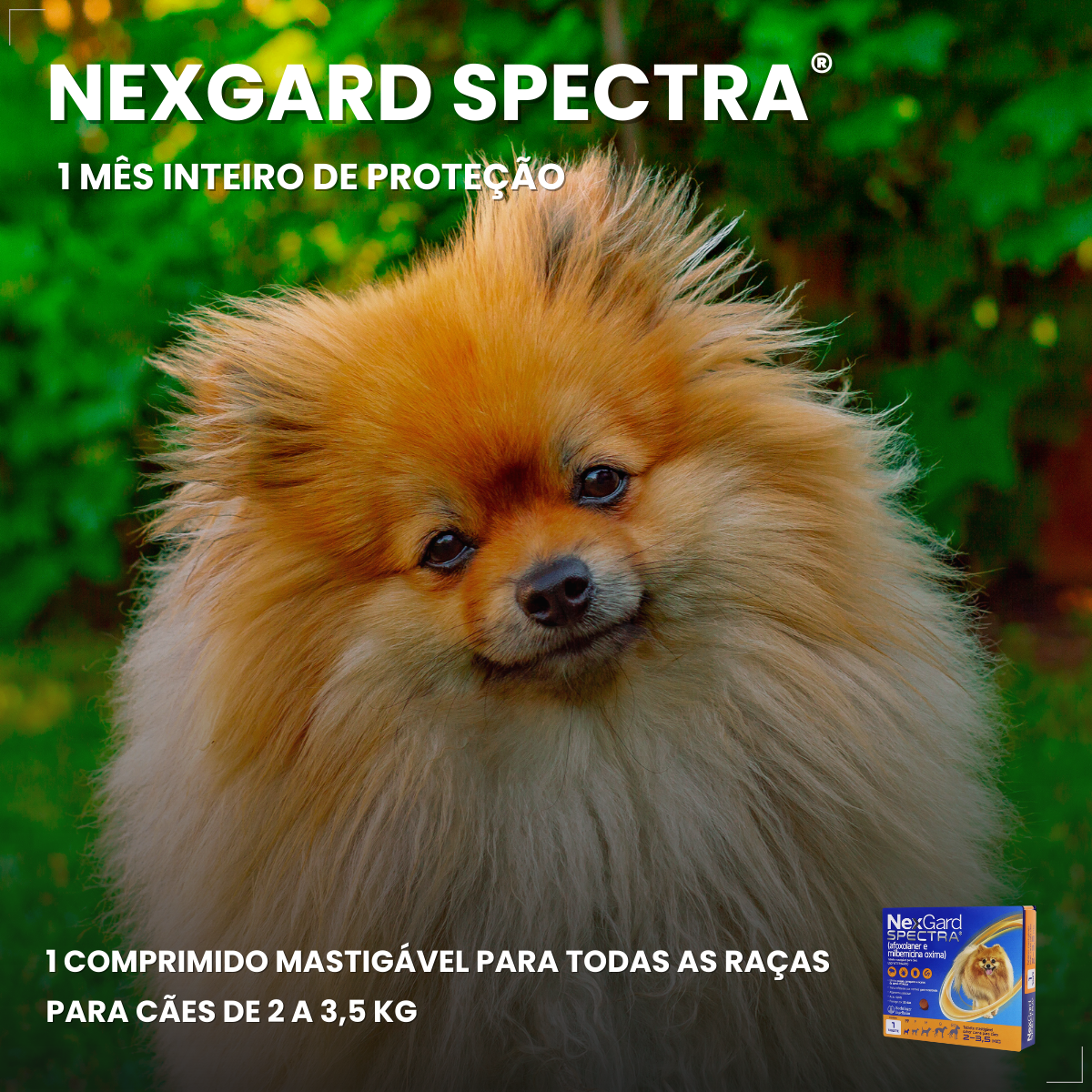 Antipulgas Nexgard Spectra 3 comp Para Cães De 2 A 3,5kg