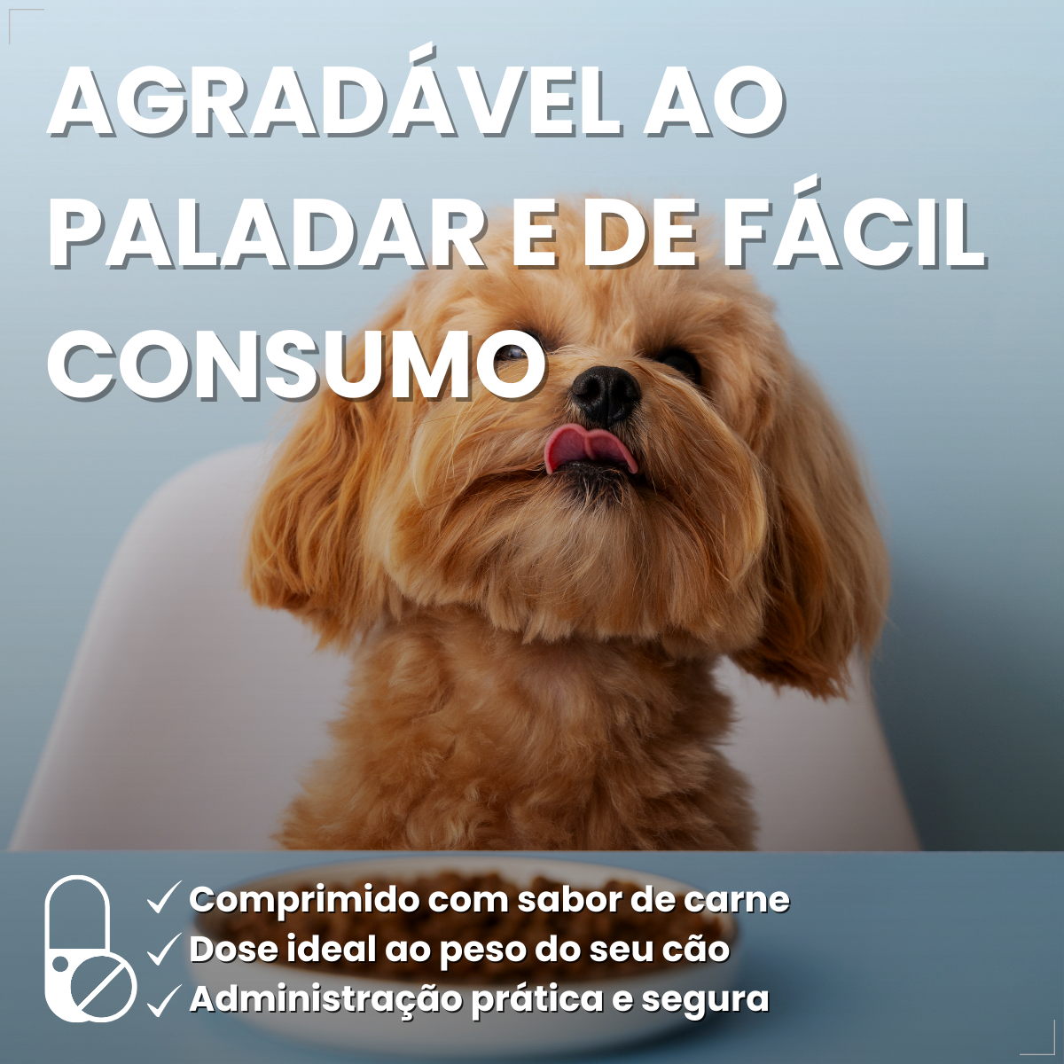 Boeringer Ingelhein Nexgard Spectra Antipulgas Cães 2 A 3.5 Kg 1 comp