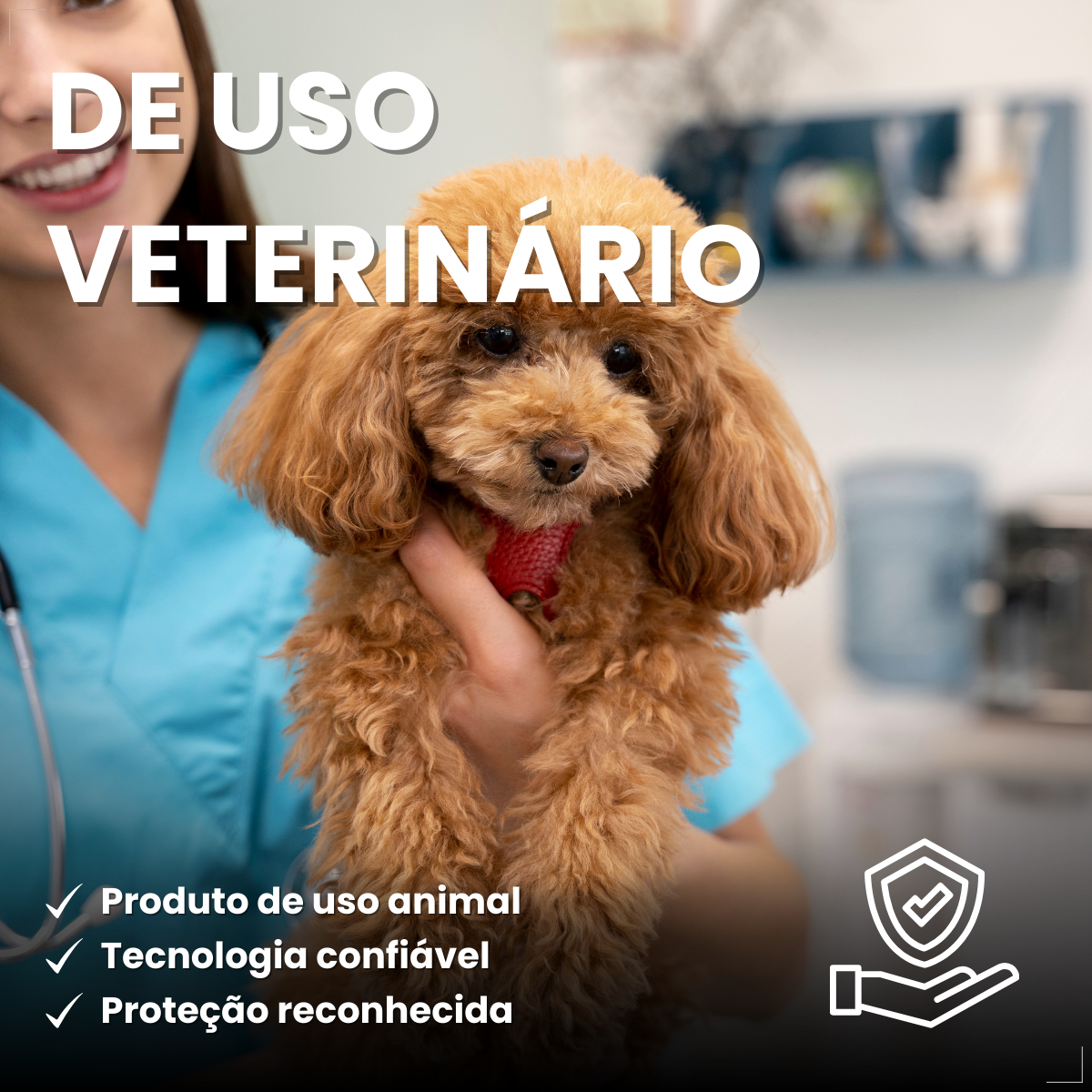 Boeringer Ingelhein Nexgard Spectra Antipulgas Cães 2 A 3.5 Kg 1 comp